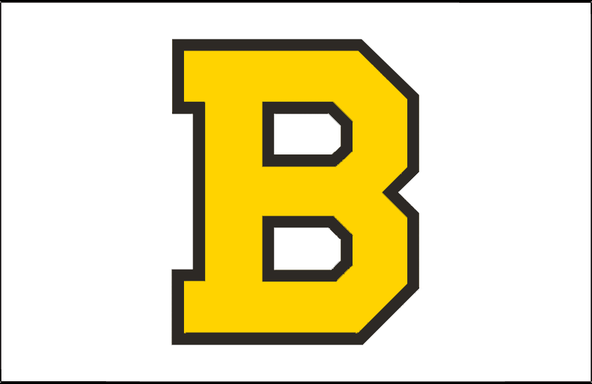 Boston Bruins 1940-1948 Jersey Logo iron on transfers for T-shirts